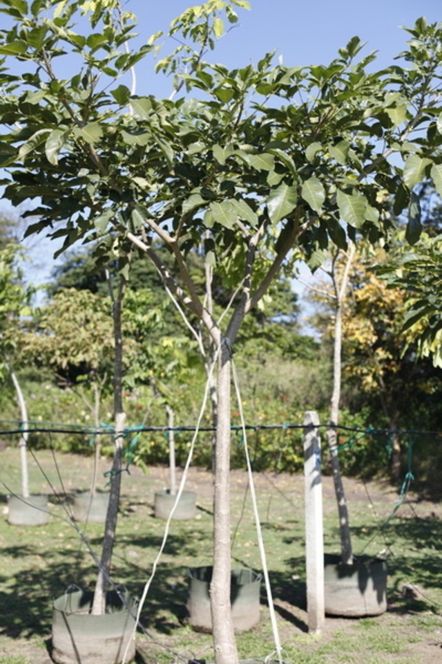 Slider_roblessabana_02