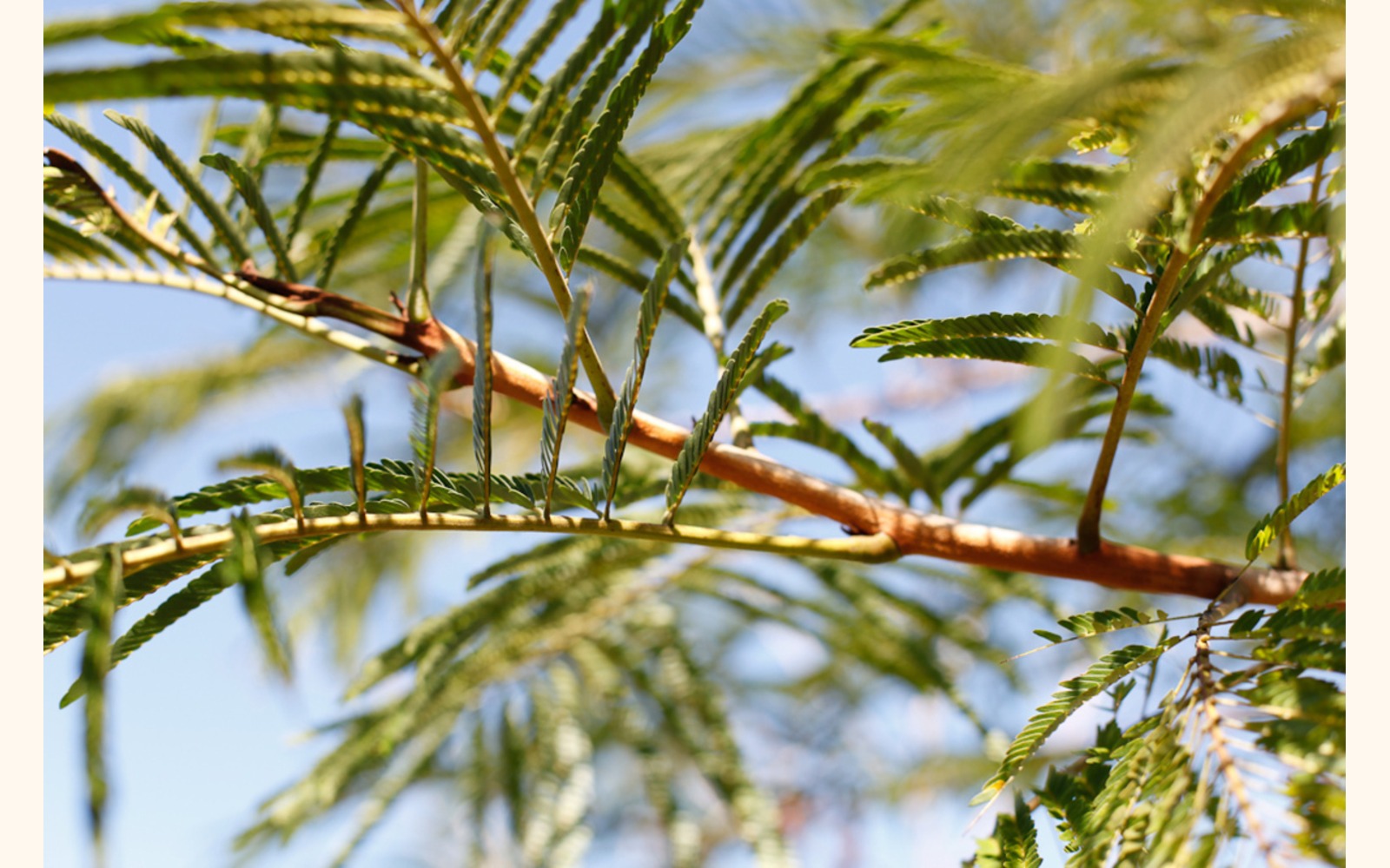 Slider_big_cwg_1022_1240