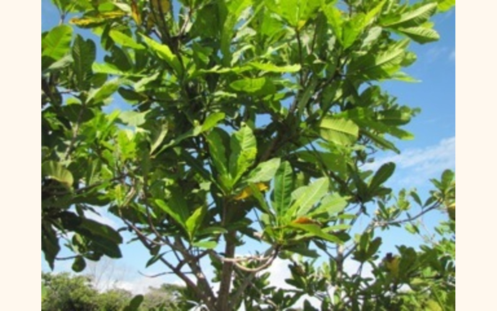 Slider_big_img_6611_2