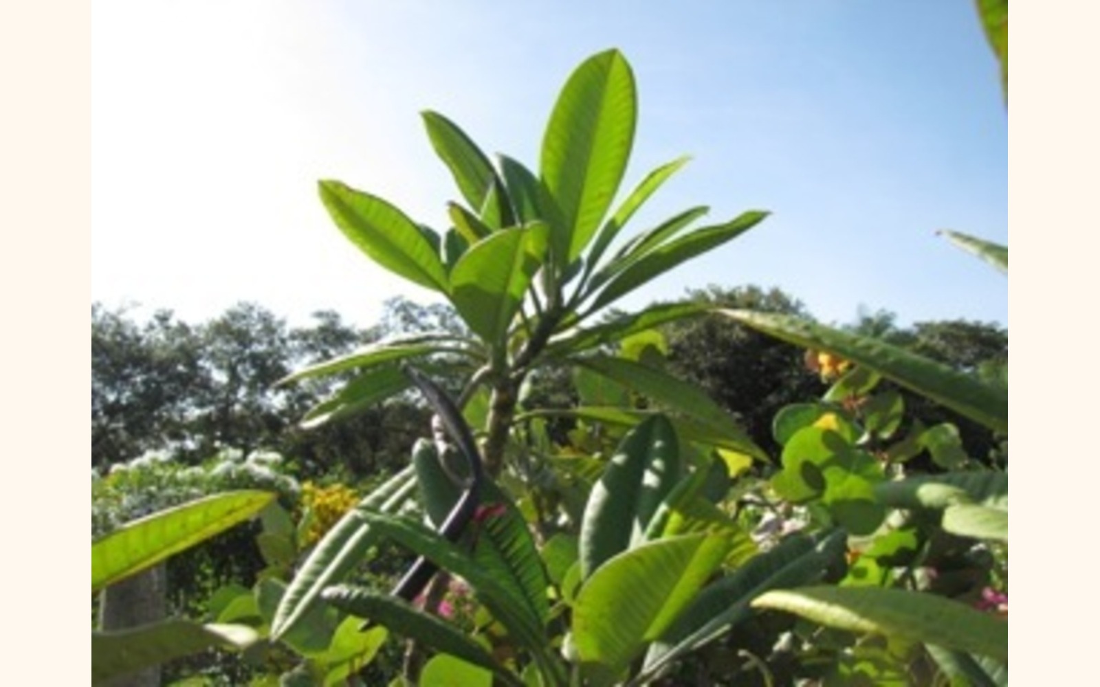 Slider_big_2013-08-22_07.59.46