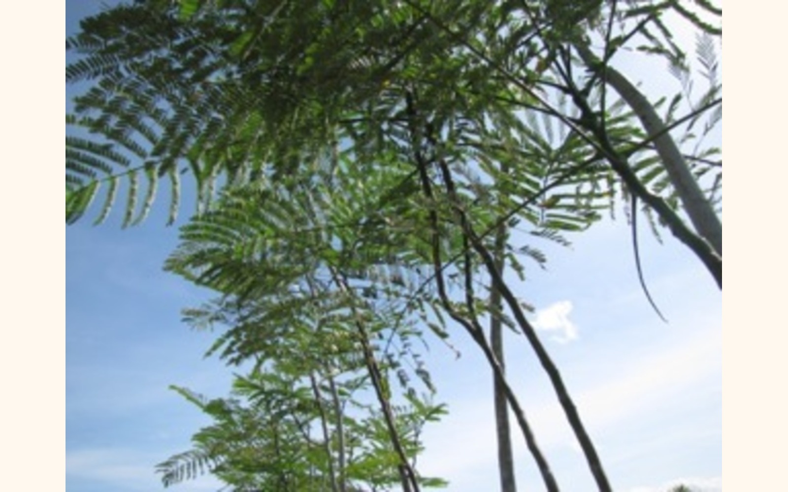 Slider_big_2013-08-22_08.46.59