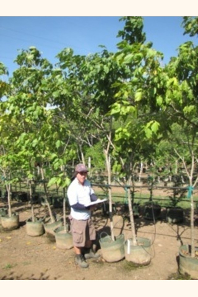 Slider_2013-08-22_08.06.27