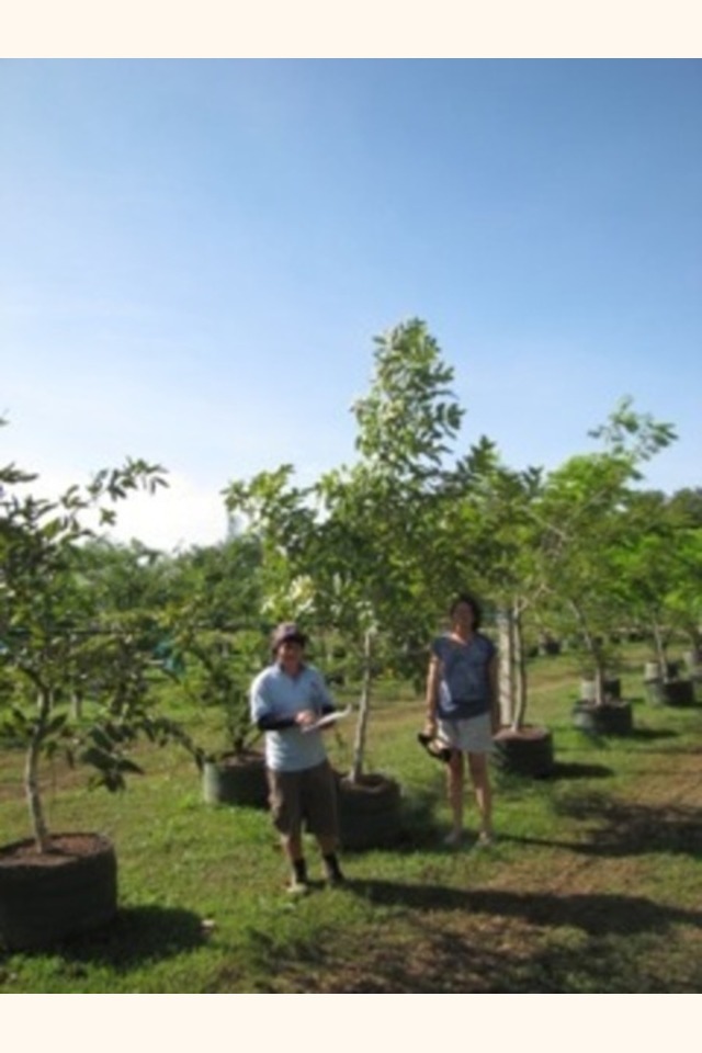 Slider_2013-08-22_07.47.30