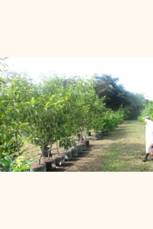 Slider_2013-09-14_08.27.24