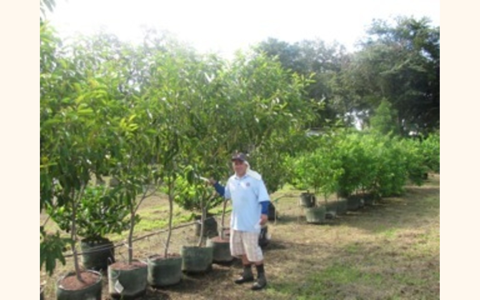 Slider_big_2013-09-14_08.27.18